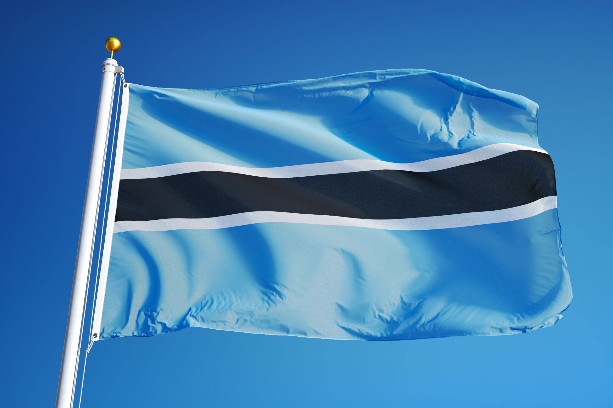 Botswana flag